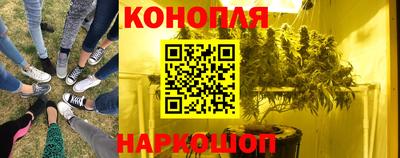 PSILOCYBIN Берёзовский