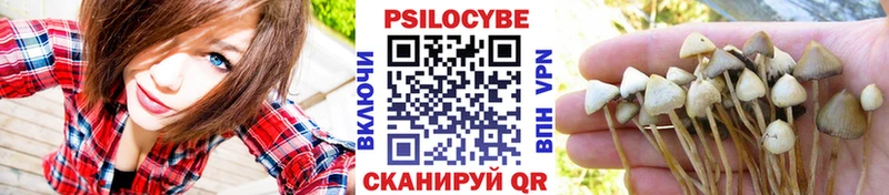 Псилоцибиновые грибы прущие грибы Гай