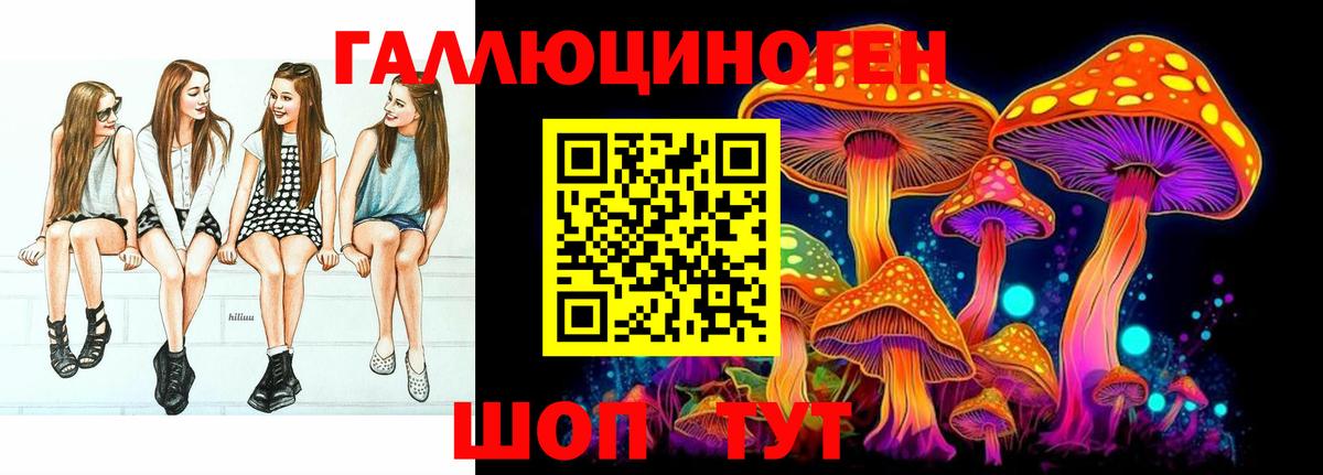 Псилоцибиновые грибы ЛСД Гай