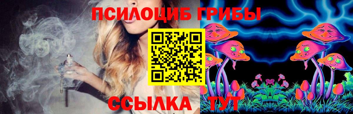 Галлюциногенные грибы GOLDEN TEACHER Гай