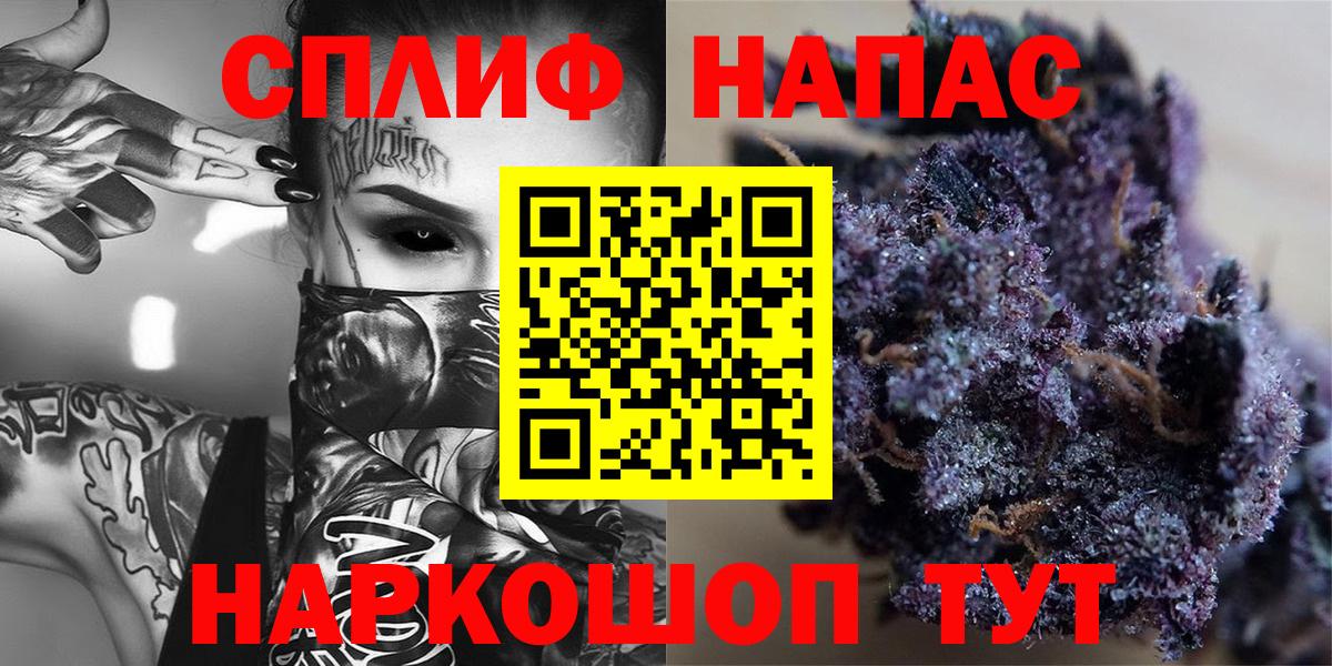 Канабис сатива Гай